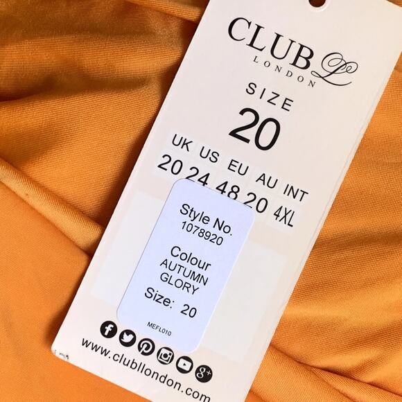 NWT Club L London Drapey Ruched Mini Dress in Autumn Glory - Picture 5 of 6